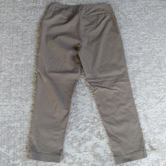 Coldwater Creek Slimming Panel Stretchy Pants 14P Brown Tan - Picture 10 of 11